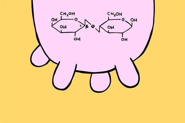 Lactosa: ¿Es Buena o Mala Para Tí?
