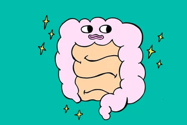 Prebióticos & Probióticos: La Guía Para Un Intestino Sano