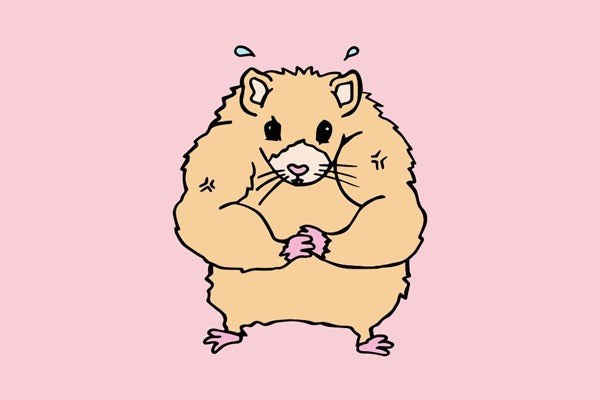 ¿Cuánta Proteína Necesito?