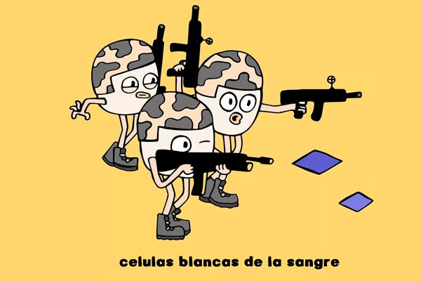 Todo Sobre La Inflamación