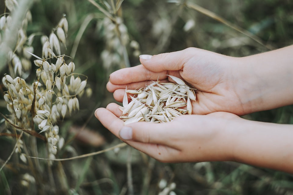 ¡Viva la avena! Así os puede ayudar el ingrediente estrella de Jimmy Joy